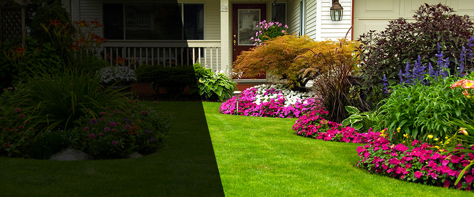 Schertz Landscapers