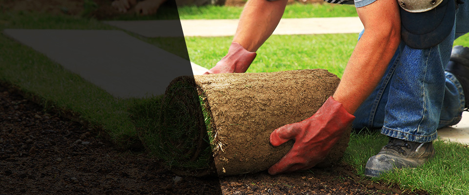 Schertz Landscapers